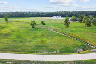 2307 Iris Cv Ct, Hockley, TX 77447 - Photo 2