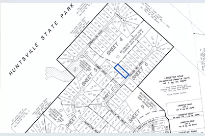 191 Hollow Hill Road, New Waverly, TX 77358 - Photo 4