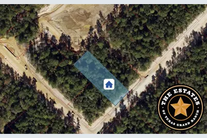 191 Hollow Hill Road, New Waverly, TX 77358 - Photo 1