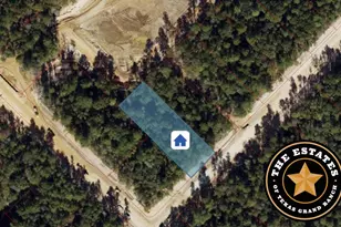 191 Hollow Hill Rd, New Waverly, TX 77358 - Photo 1