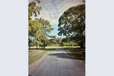 0 Woodlands Drive, Trinity, TX 75862 - Photo 6