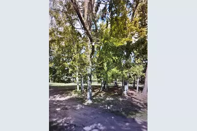 0 Woodlands Drive, Trinity, TX 75862 - Photo 4