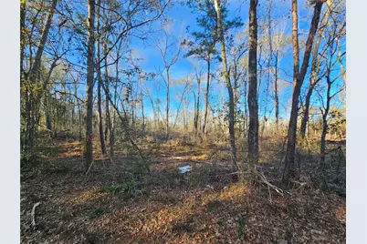 Lot 2 Sherwood Drive, Shepherd, TX 77371 - Photo 14