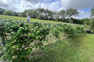 1475 Cr 16, Altair, TX 77412 - Photo 42