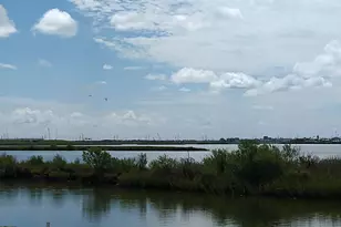 00 Bayou Ln, Hitchcock, TX 77563 - Photo 1