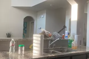 15143 Silky Morning Ct, Humble, TX 77346 - Photo 12