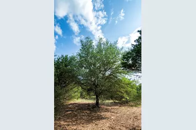 405 Vineyard View Trail - Lot 5, Carmine, TX 78932 - Photo 6