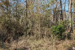 25865 Cambridge Blvd, New Caney, TX 77357 - Photo 2