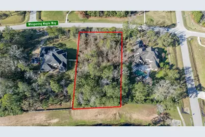 27430 Whispering Maple Way, Spring, TX 77386 - Photo 4