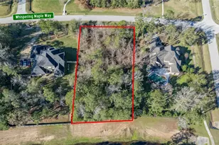 27430 Whispering Maple Way, Spring, TX 77386 - Photo 4