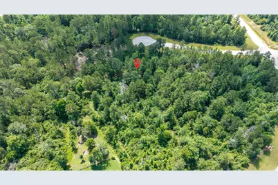 157 Iron Horse Road, New Waverly, TX 77378 - Photo 6