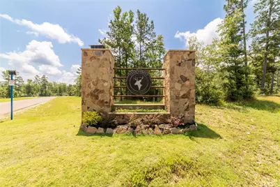 157 Iron Horse Road, New Waverly, TX 77378 - Photo 2