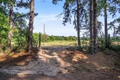 Tbd Bailey Grove Road, Montgomery, TX 77356 - Photo 4