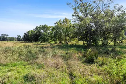 Tbd Bailey Grove Road, Montgomery, TX 77356 - Photo 18