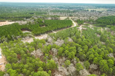 00 Larkspur Lane, New Waverly, TX 77358 - Photo 18