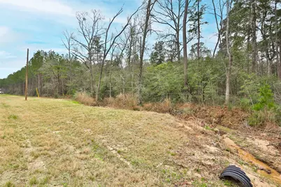 00 Larkspur Lane, New Waverly, TX 77358 - Photo 8