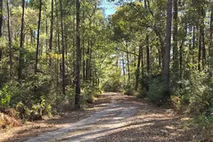 18611 Parker Rd, Cleveland, TX 77328 - Photo 6