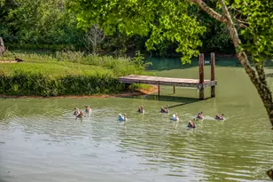 10347 Pless Rd, Cat Spring, TX 78933 - Photo 1