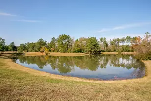28915 Forest Hill Dr, Magnolia, TX 77355 - Photo 2