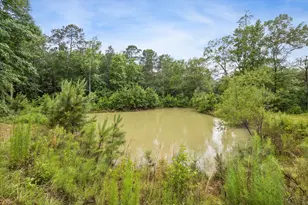 5050 Fm 222 Loop S, Coldspring, TX 77331 - Photo 46