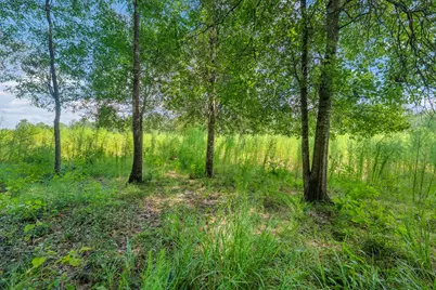 426 County Road 1420, Warren, TX 77664 - Photo 6