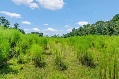 426 County Road 1420, Warren, TX 77664 - Photo 32