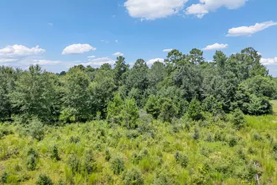426 County Road 1420, Warren, TX 77664 - Photo 2