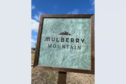 3859 Mulberry Farms Drive, Santa Fe, TX 77510 - Photo 36