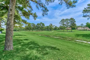 46 N Copperknoll Cir, The Woodlands, TX 77381 - Photo 42
