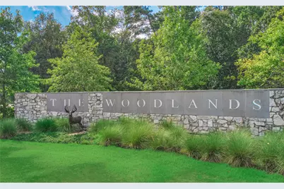 46 N Copperknoll Circle, The Woodlands, TX 77381 - Photo 38