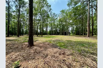 10460 Sweetgum Lane, Lumberton, TX 77657 - Photo 4