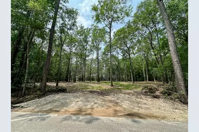 10460 Sweetgum Lane, Lumberton, TX 77657 - Photo 8