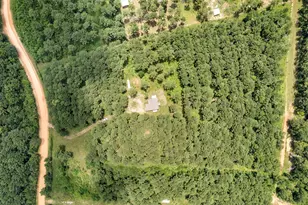 235 Bracewell Cemetery Rd, Livingston, TX 77351 - Photo 32