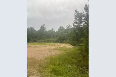 000 Towering Pines, Livingston, TX 77351 - Photo 1