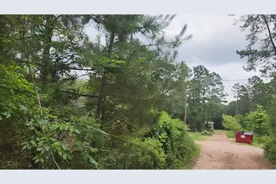 Lot 10 B53 Sweetleaf Lane, Plantersville, TX 77363 - Photo 8