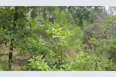 Lot 10 B53 Sweetleaf Lane, Plantersville, TX 77363 - Photo 26