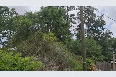 Lot 10 B53 Sweetleaf Lane, Plantersville, TX 77363 - Photo 20