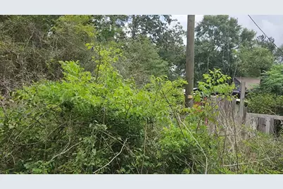 Lot 10 B53 Sweetleaf Lane, Plantersville, TX 77363 - Photo 22