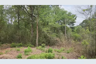 Lot 10 B53 Sweetleaf Lane, Plantersville, TX 77363 - Photo 6