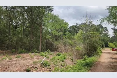 Lot 10 B53 Sweetleaf Lane, Plantersville, TX 77363 - Photo 12