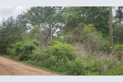 Lot 10 B53 Sweetleaf Lane, Plantersville, TX 77363 - Photo 10