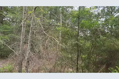 Lot 10 B53 Sweetleaf Lane, Plantersville, TX 77363 - Photo 4