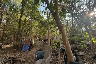 4320 Banner Dr, Houston, TX 77013 - Photo 30