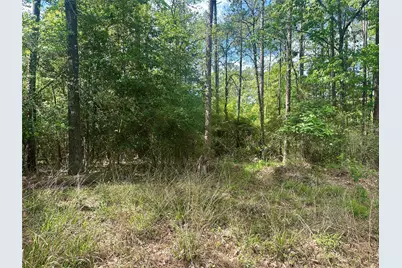 00 Belladonna Drive, Onalaska, TX 77360 - Photo 2