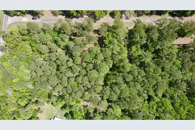 00 Belladonna Drive, Onalaska, TX 77360 - Photo 12