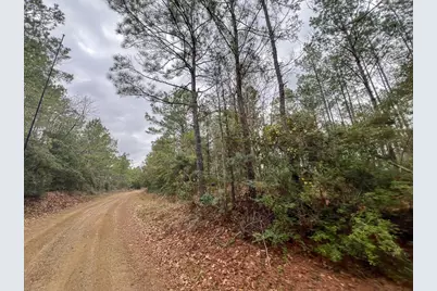 T-2 County Road 1019, Newton, TX 75966 - Photo 2