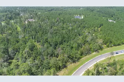 12056 High Branch Way, Willis, TX 77378 - Photo 14