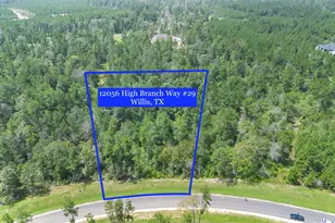 12056 High Br Wy, Willis, TX 77378 - Photo 4