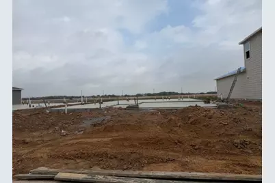 26210 Venus Trap Trail, Katy, TX 77493 - Photo 2