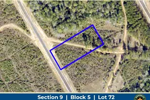 16152 Frst Ml Rd, Willis, TX 77378 - Photo 1